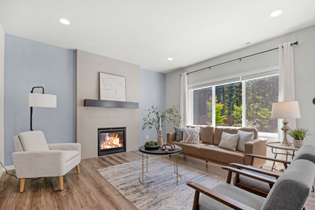 Gas Fireplace Insert